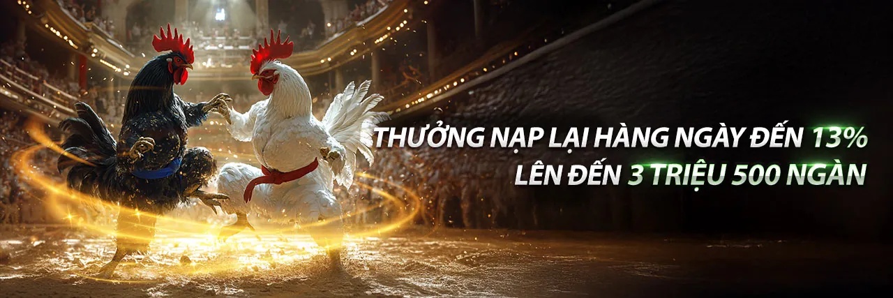 Đấu trường đá gà trực tiếp tại momo88 với không khí sôi động và chuyên nghiệp